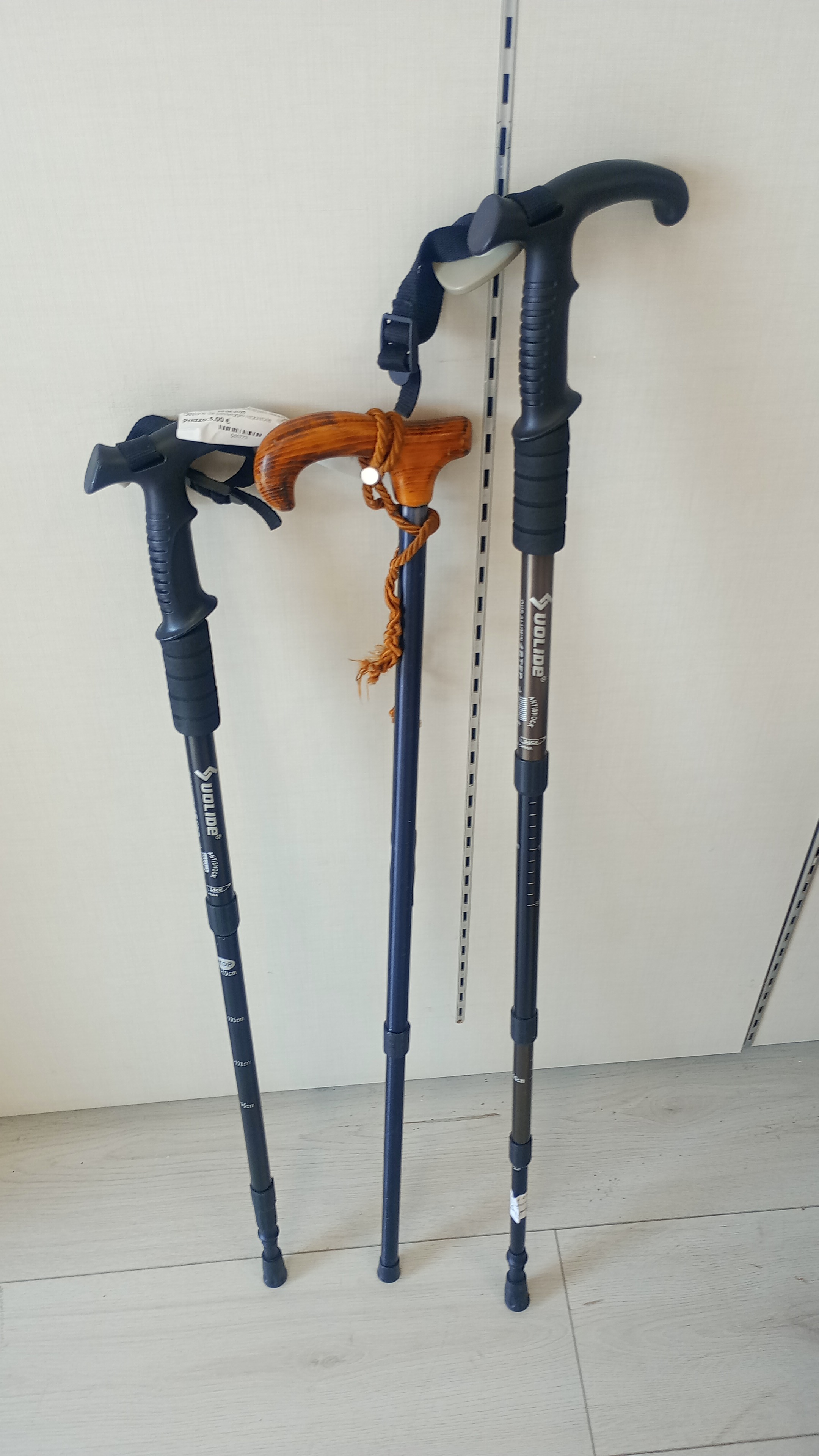  Bastone da passeggio reg